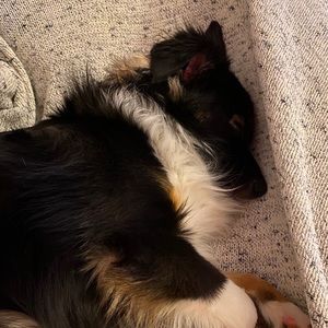 Meet your Posher, Elizabeth